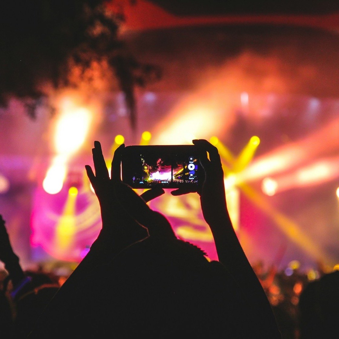 Persona grabando con su celular un concierto con luces rosas